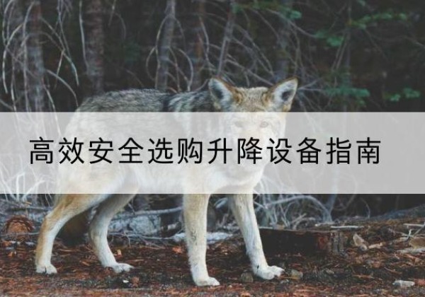 石林升降货梯厂家推荐-*安全选购升降设备指南