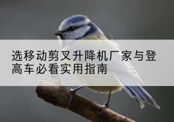 石林电动升降机厂家-选移动剪叉升降机厂家与登高车必看实用指南