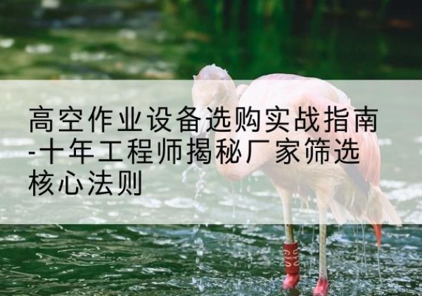 石林剪叉式升降机厂家-高空作业设备选购实战指南-十年工程师揭秘厂家筛选核心法则